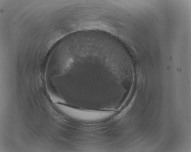 X0000077381497200611031923