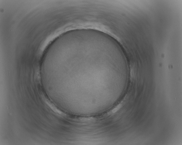 X0000077381498200611031923