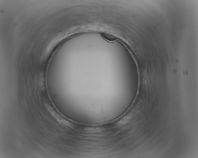 X0000077381499200611031923