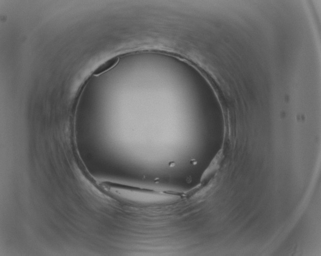 X0000077381500200611031923