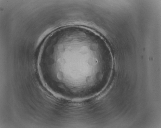 X0000077381501200611031923