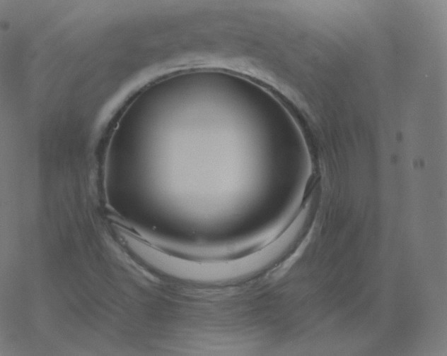 X0000077381502200611031923