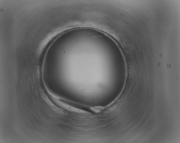 X0000077381503200611031923