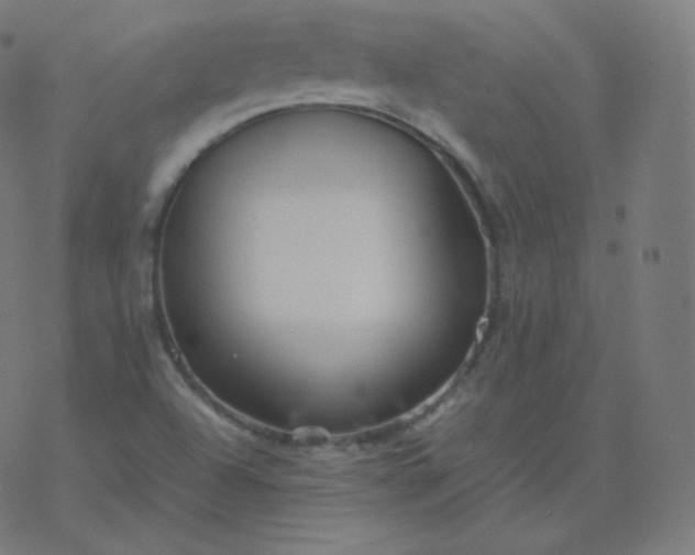 X0000077381504200611031923