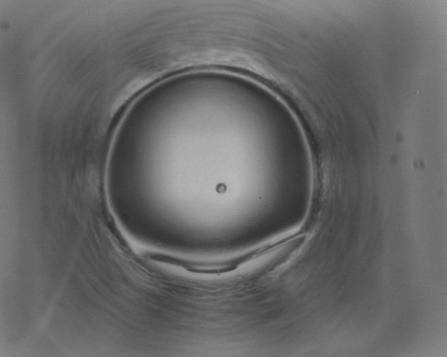 X0000077381505200611031923