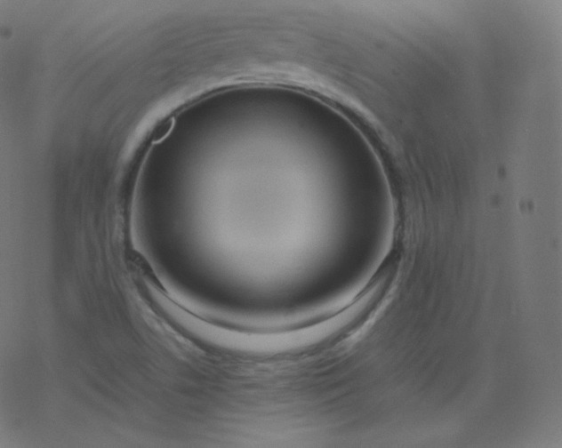 X0000077381506200611031923