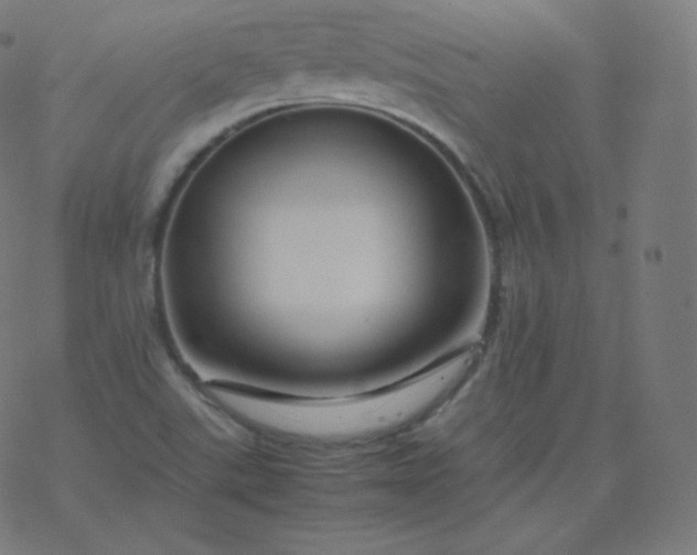 X0000077381507200611031923