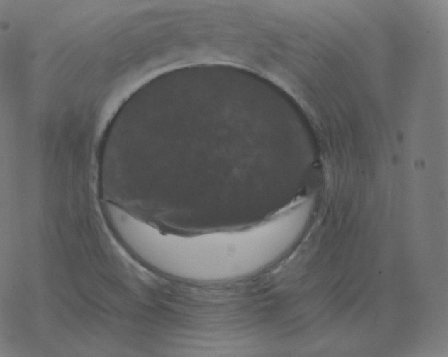 X0000077381508200611031923