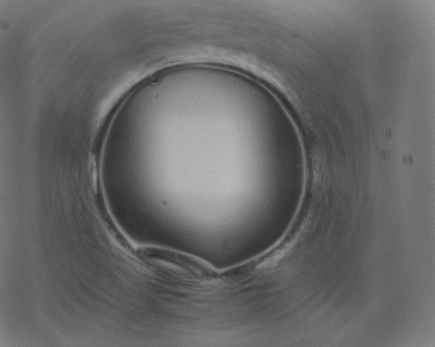 X0000077381509200611031923