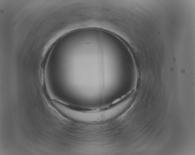 X0000077381510200611031923