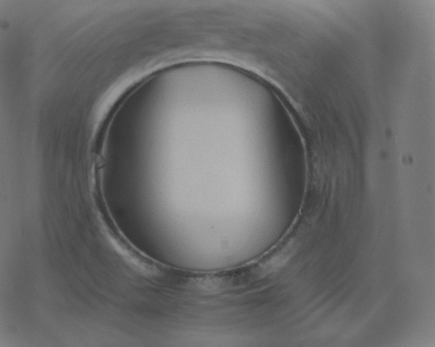 X0000077381511200611031923