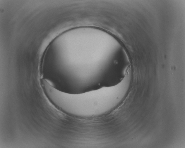 X0000077381512200611031923