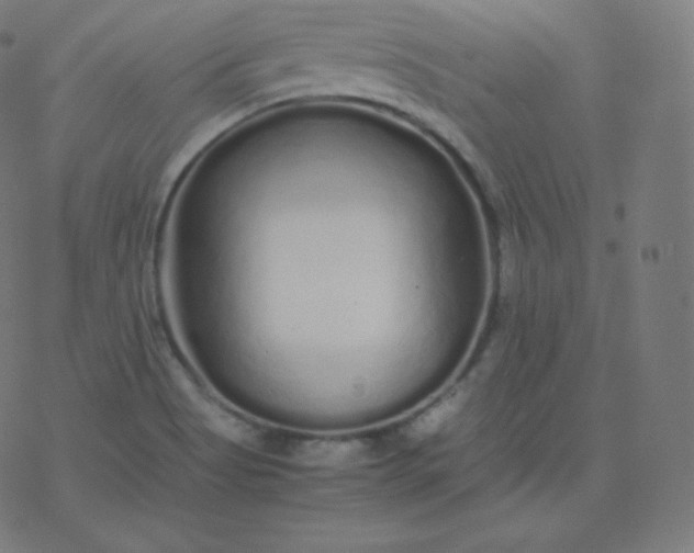 X0000077381513200611031923