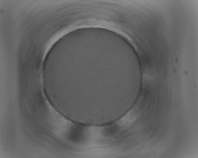 X0000077381514200611031923