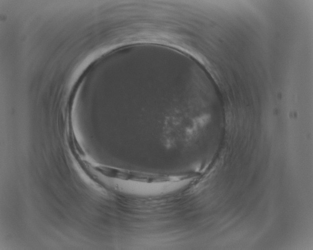 X0000077381515200611031923