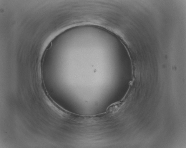 X0000077381516200611031923