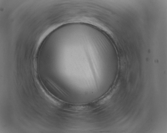 X0000077381517200611031923