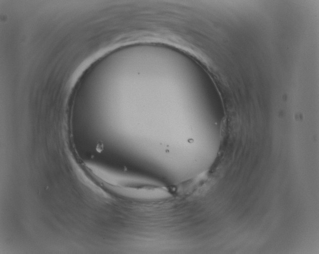 X0000077381518200611031923