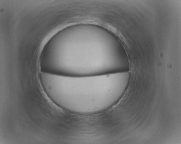 X0000077381520200611031923