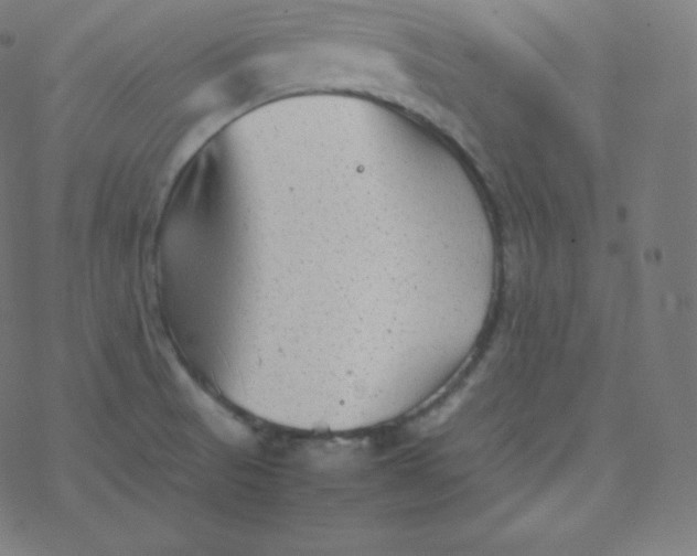 X0000077381521200611031923