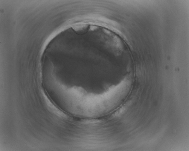 X0000077381522200611031923