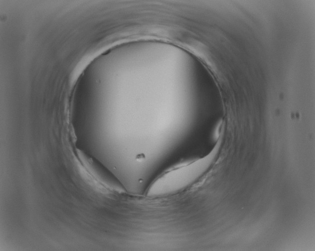 X0000077381524200611031923