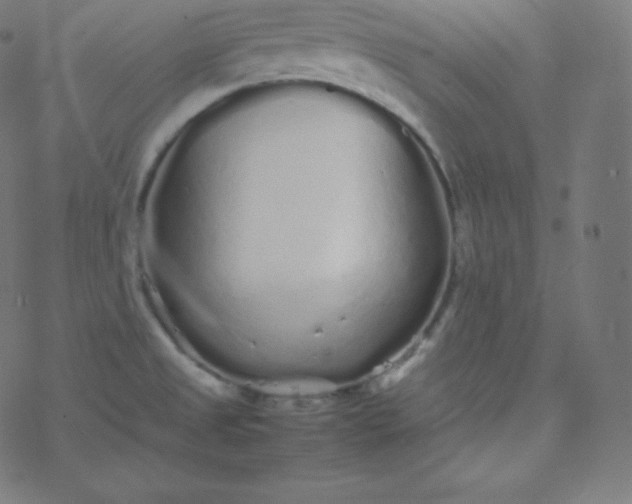 X0000077381525200611031923