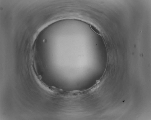 X0000077381526200611031923