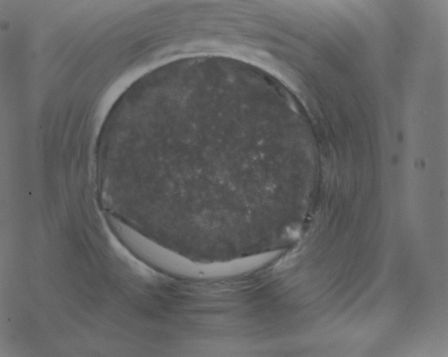 X0000077381527200611031924