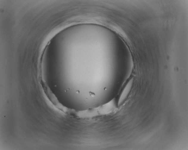 X0000077381528200611031924