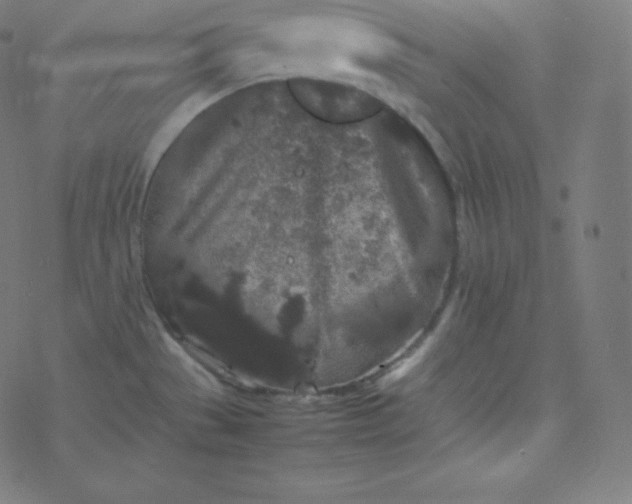 X0000077381529200611031924