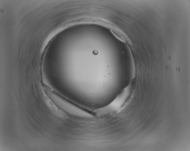 X0000077381530200611031924