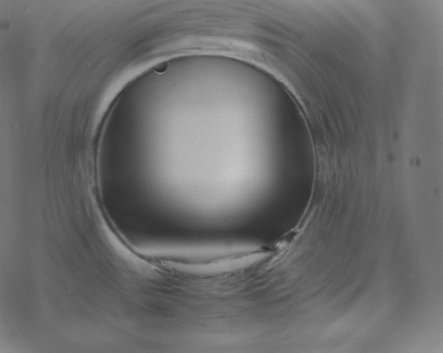 X0000077381531200611031924