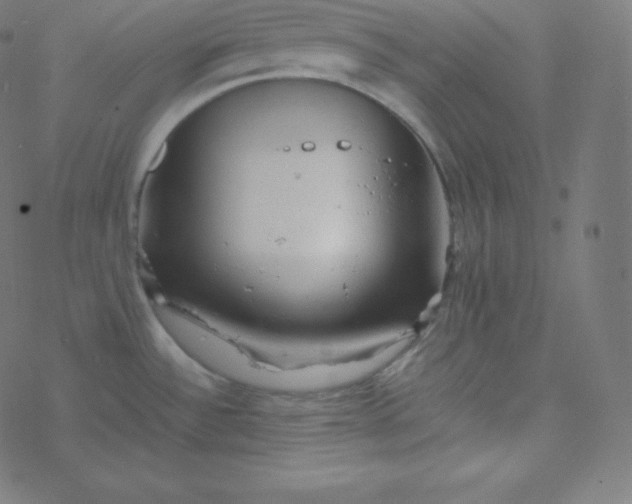 X0000077381532200611031924