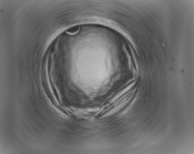 X0000077381533200611031924