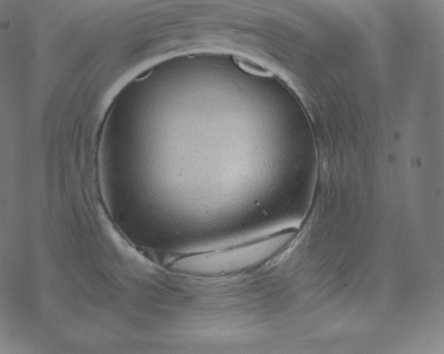 X0000077381534200611031924