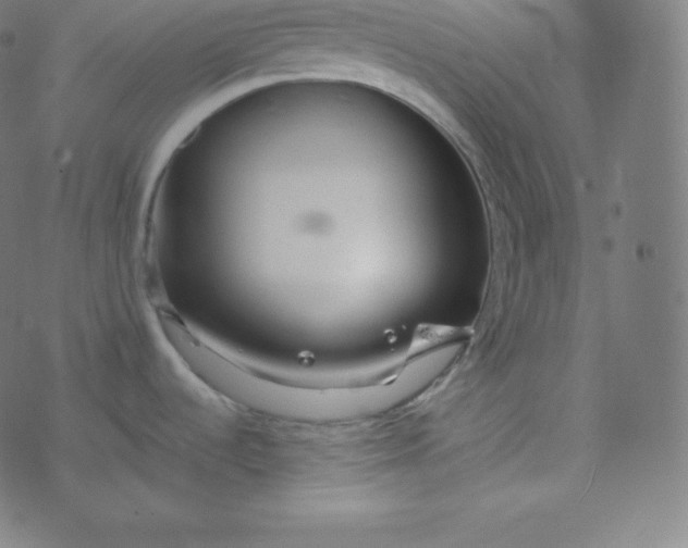 X0000077381536200611031924