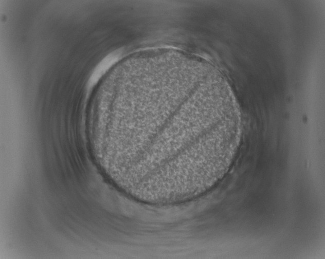X0000077380006200611101741
