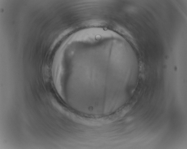 X0000077380012200611101741