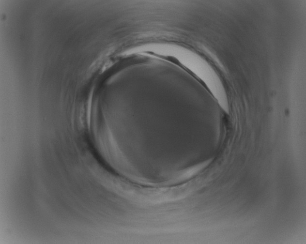 X0000077380023200611101741