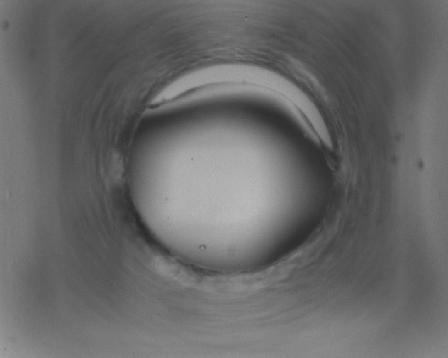 X0000077380025200611101741