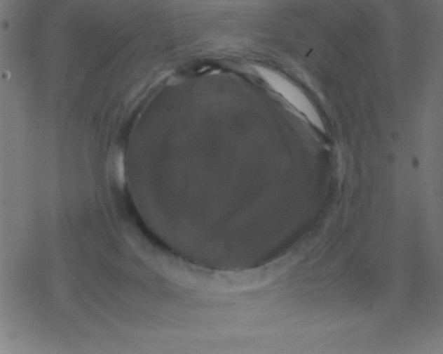 X0000077380027200611101740