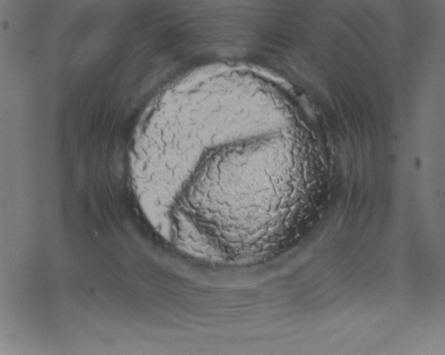 X0000077380032200611101740