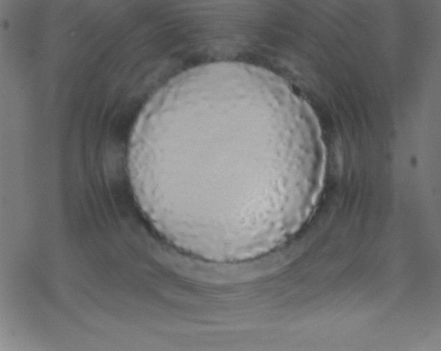 X0000077380034200611101740