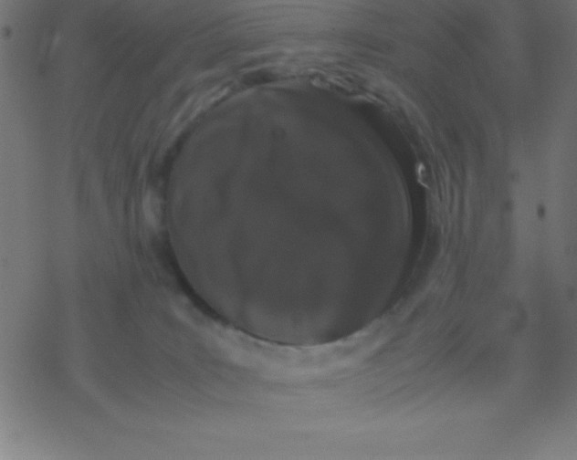 X0000077380035200611101740