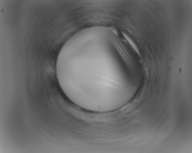 X0000077380040200611101740