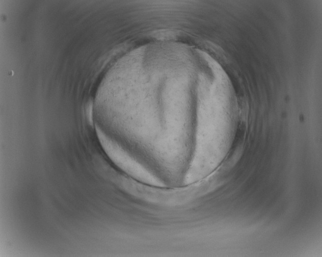 X0000077380047200611101740