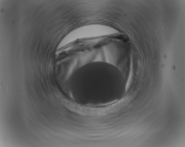 X0000077380048200611101740