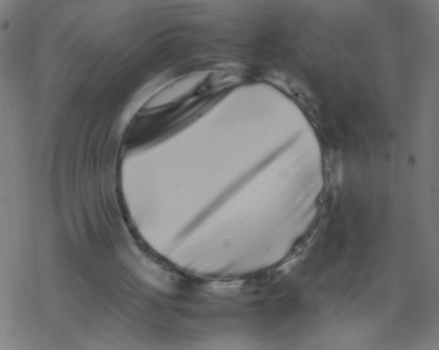 X0000077380051200611101739