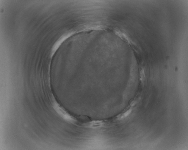 X0000077380052200611101739